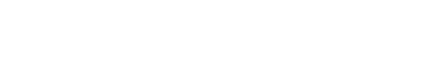 WebSool Logo